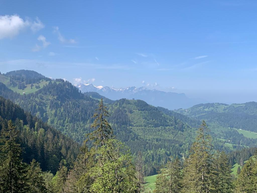 Boutique Hotel Corbetta - Spa 60M2 - La Montagne A 5 Minutes De L'Autoroute A12 Aux Paccots Sur Montreux - Nouveau Loft Familial - Profitez Du Lac Leman Et Des Montagnes En Meme Temps Les Paccots Екстер'єр фото